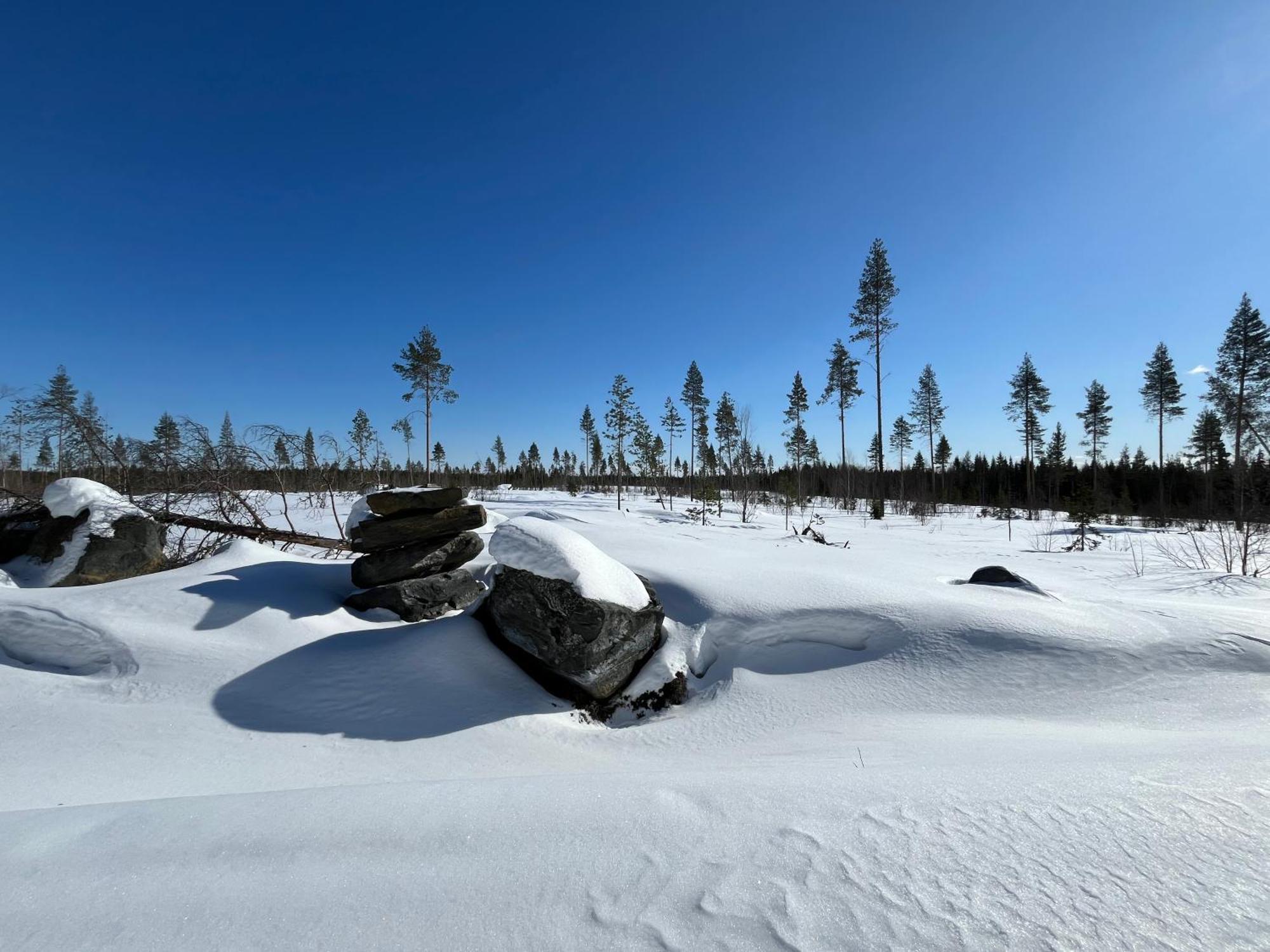 Log Cottages In 10 Min From Santa Claus Village-Sauna&Freeparking Rovaniemi Eksteriør billede