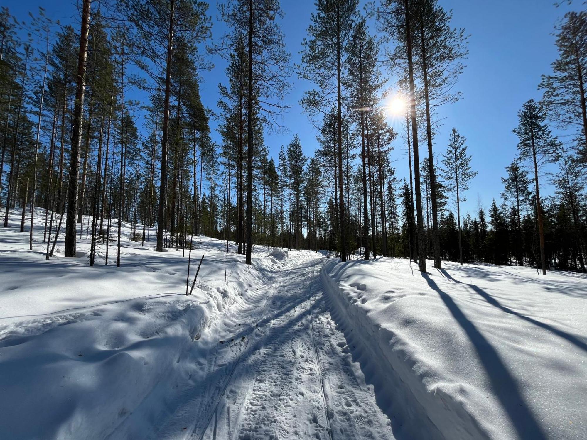 Log Cottages In 10 Min From Santa Claus Village-Sauna&Freeparking Rovaniemi Eksteriør billede