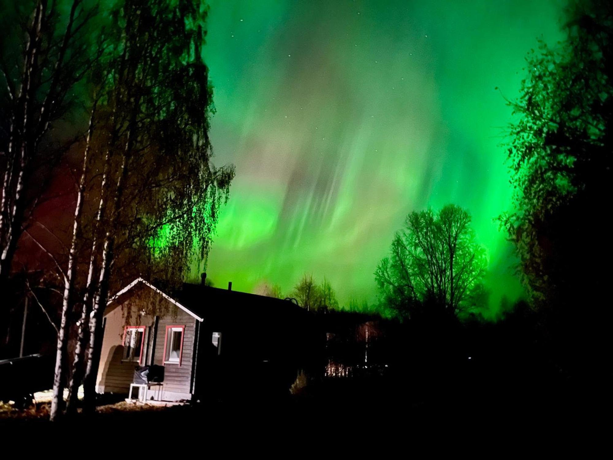 Log Cottages In 10 Min From Santa Claus Village-Sauna&Freeparking Rovaniemi Eksteriør billede